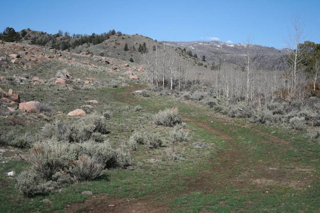 Burnt Lake two track. Photo by Dawn Ballou, Pinedale Online.