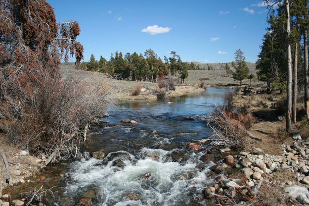 Fall Creek. Photo by Dawn Ballou, Pinedale Online.