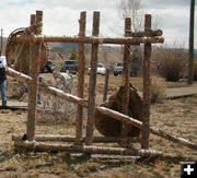 Beaver Press. Photo by Dawn Ballou, Pinedale Online.