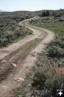 Windy two track. Photo by Dawn Ballou, Pinedale Online.