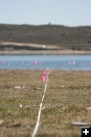 Shovel Line. Photo by Dawn Ballou, Pinedale Online.