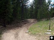 Road 855. Photo by Dawn Ballou, Pinedale Online.