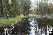 Pond by trail. Photo by Dawn Ballou, Pinedale Online.