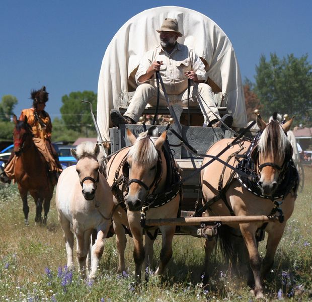 Supply Wagon. Photo by Pinedale Online.