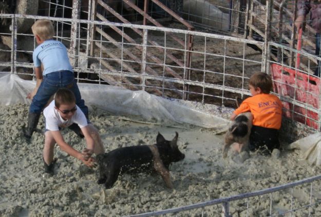 Greased Pig Contest. Photo by Dawn Ballou, Pinedale Online.