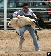 Calf Roping. Photo by Pinedale Online.