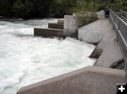 Turbulent Pine Creek. Photo by Bob Rule, KPIN 101.1 FM.