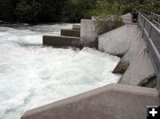 Turbulent Pine Creek. Photo by Bob Rule, KPIN 101.1 FM.