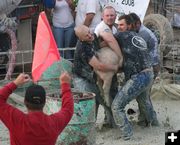 Tubbies and Pig. Photo by Dawn Ballou, Pinedale Online.