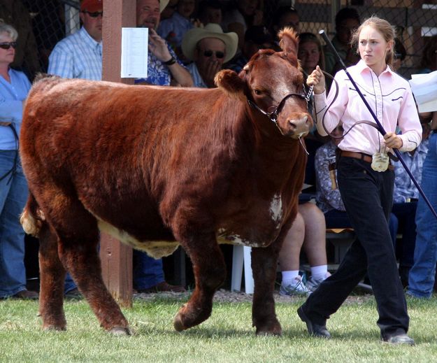 Laney Johnston. Photo by Clint Gilchrist, Pinedale Online.