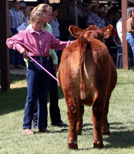 Caitland Copeland. Photo by Clint Gilchrist, Pinedale Online.