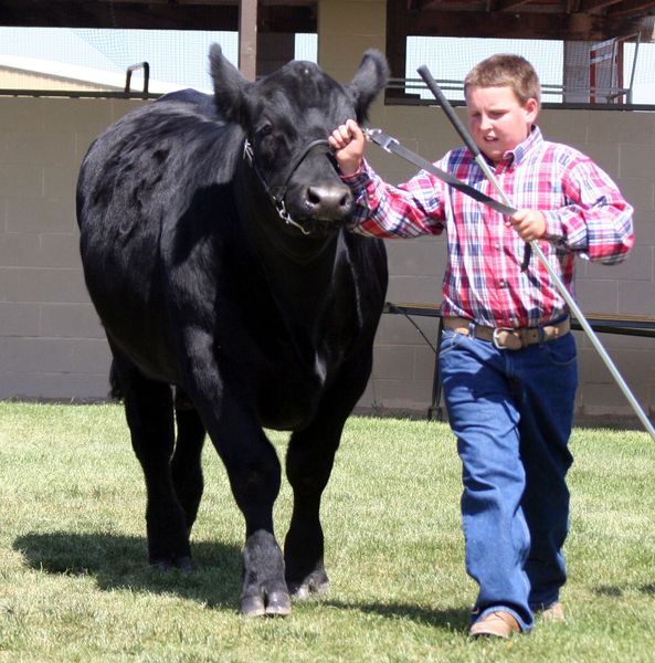 Conner Sullivan. Photo by Clint Gilchrist, Pinedale Online.