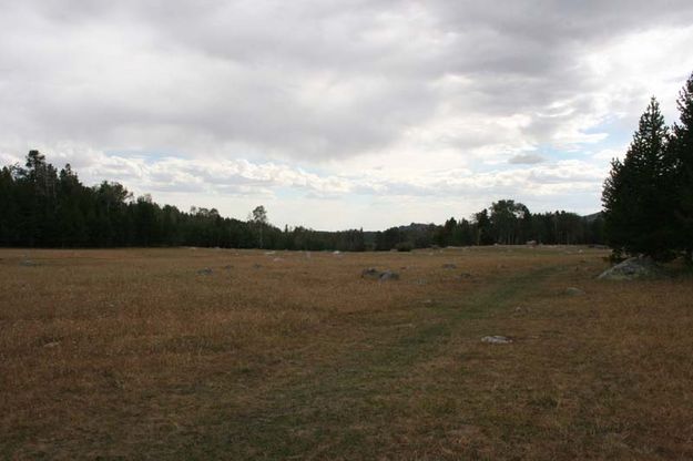 Main Meadow - After. Photo by Dawn Ballou, Pinedale Online.
