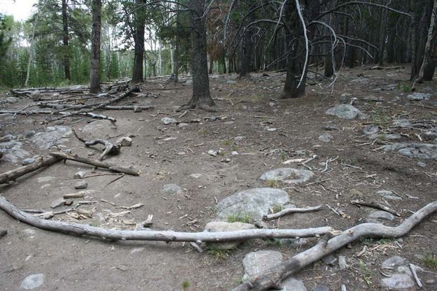 Not-a-trail Trail. Photo by Dawn Ballou, Pinedale Online.