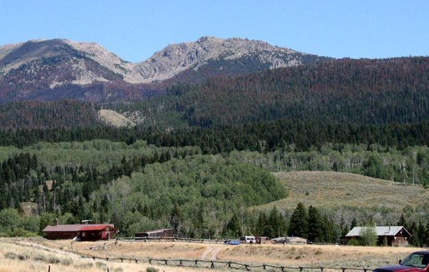 Houses near the forest. Photo by Dawn Ballou, Pinedale Online.