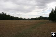 Main Meadow - After. Photo by Dawn Ballou, Pinedale Online.