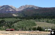 Houses near the forest. Photo by Dawn Ballou, Pinedale Online.