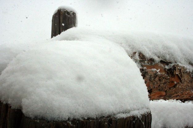 Snow on fencepost. Photo by Dawn Ballou, Pinedale Online.