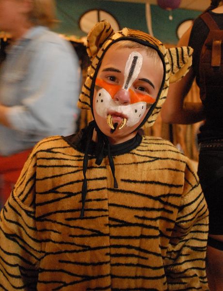 Tiger. Photo by Nikki Mann and Jeff Wohl.