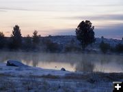 Misty Fremont. Photo by Corene Shaw.