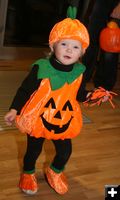 Lil Pumpkin. Photo by Pam McCulloch, Pinedale Online.