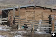 Checking out the grain bucket. Photo by Dawn Ballou, Pinedale Online.