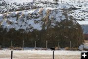 Around the haystack. Photo by Dawn Ballou, Pinedale Online.