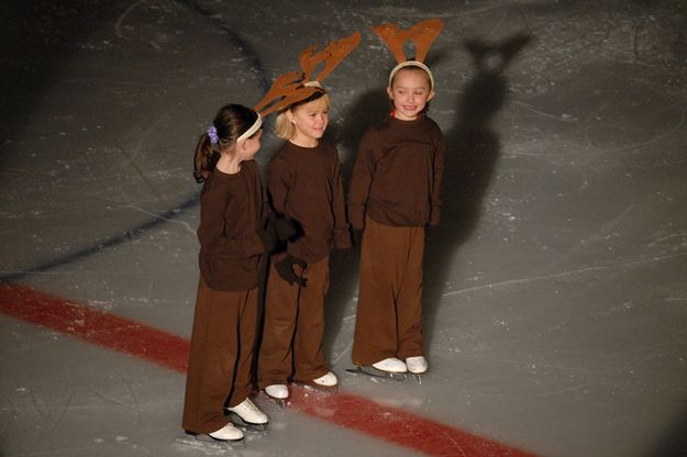 Reindeer. Photo by Janet Montgomery  .