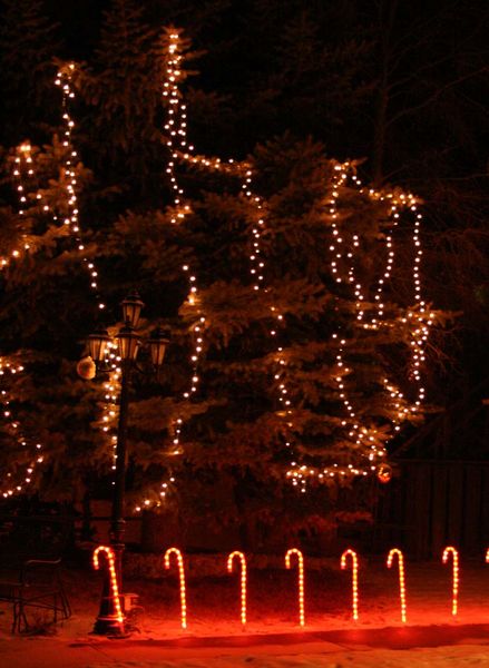 Candy Cane Lights. Photo by Dawn Ballou, Pinedale Online.