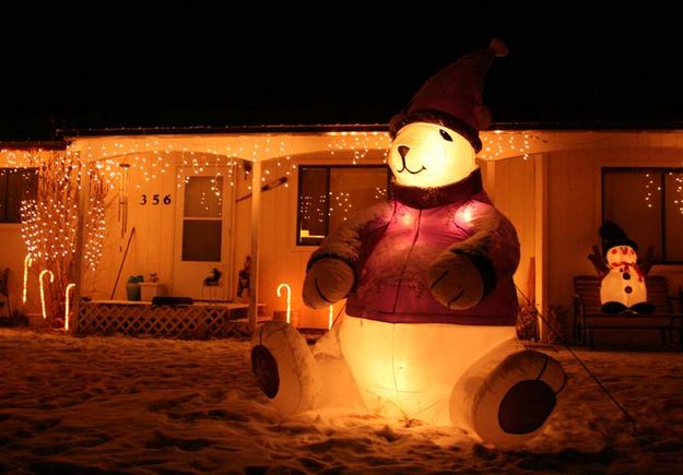 Snow Bear. Photo by Dawn Ballou, Pinedale Online.