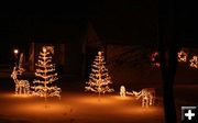 Deer and Tree lights. Photo by Dawn Ballou, Pinedale Online.