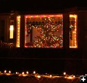 Tree in the Window. Photo by Dawn Ballou, Pinedale Online.
