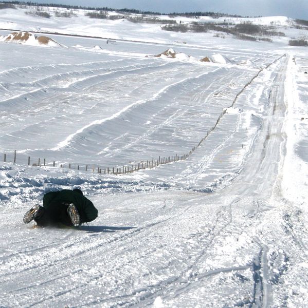 Head First. Photo by Pam McCulloch, Pinedale Online.