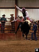Bull Ride 1. Photo by Carie Whitman.