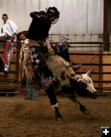 Bull Ride 3. Photo by Carie Whitman.