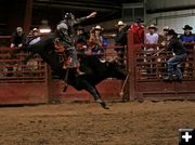 Bull Ride 13. Photo by Carie Whitman.