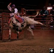 Bull Riding Clinic. Photo by Carie Whitman.