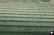 Hail. Photo by Dawn Ballou, Pinedale Online.