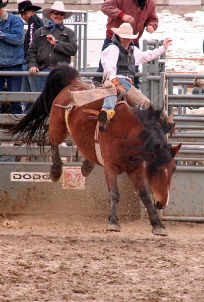 Austin Doyle. Photo by Carie Whitman.