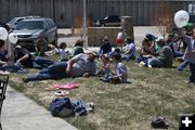 Lounging on the Lawn. Photo by Pam McCulloch, Pinedale Online.