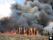 Maki Creek Burn. Photo by Jill Miller, WGFD.