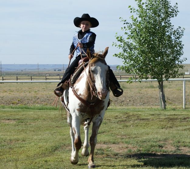 Molly. Photo by Cat Urbigkit, Pinedale Online.