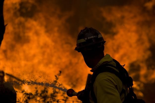 Blaze. Photo by Mark Randall, USFS.