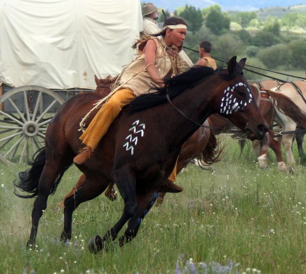 Pony Dancer. Photo by Clint Gilchrist, Pinedale Online.