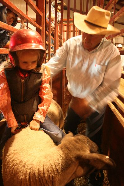 Ready to go. Photo by Dawn Ballou, Pinedale Online.