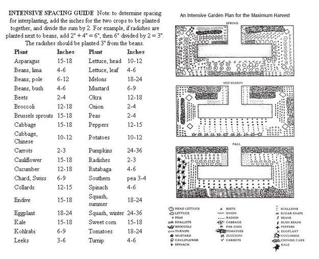 Intensive Gardening. Photo by Virginia Tech, Publication Number 426-335, 2006.