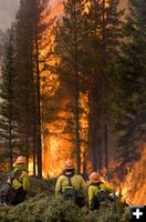 Prescribed Burn. Photo by Mark Gocke, WGFD.