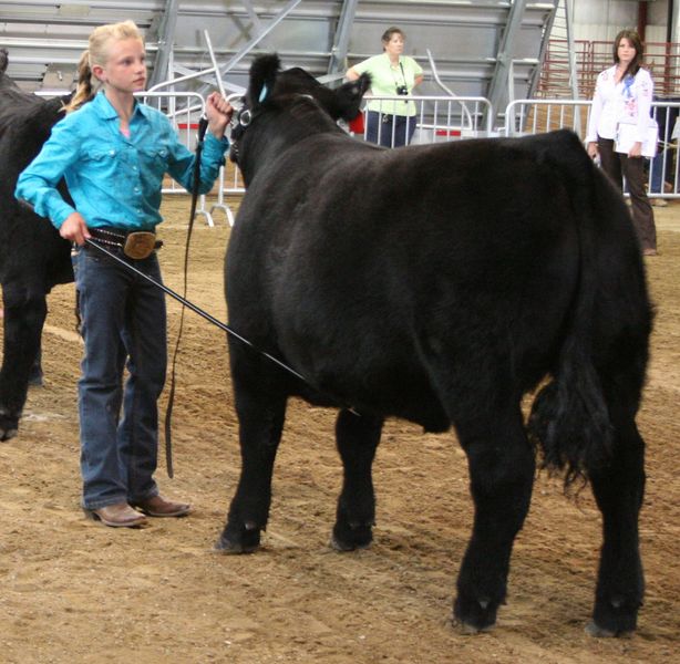 Fallon Ramsey. Photo by Clint Gilchrist, Pinedale Online.