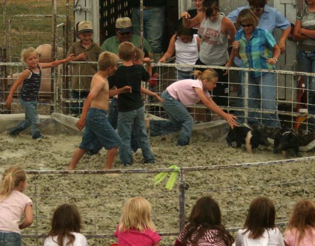 8 & 9 Year Olds. Photo by Dawn Ballou, Pinedale Online.