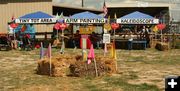 Tiny Tot area. Photo by Dawn Ballou, Pinedale Online.